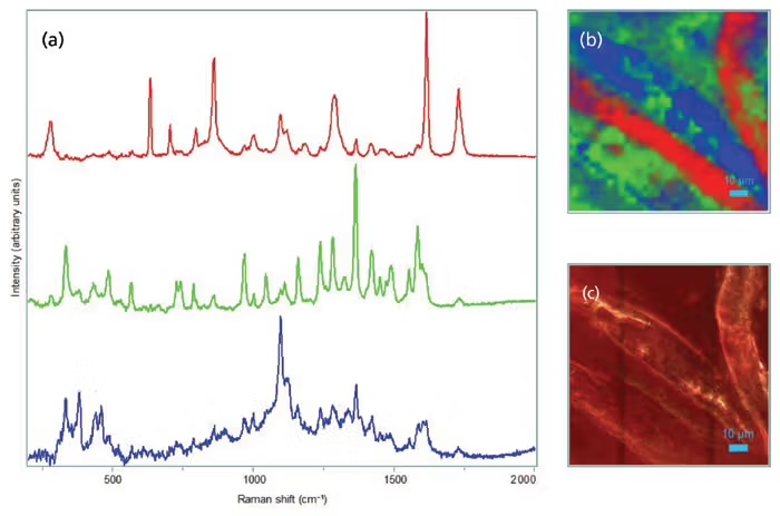Microplastic quantification image